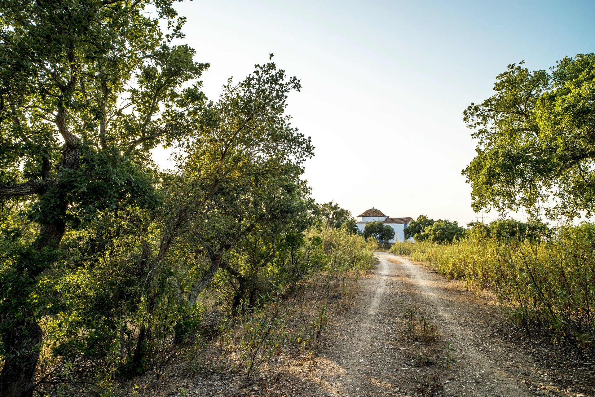 _PCF9647_Alta