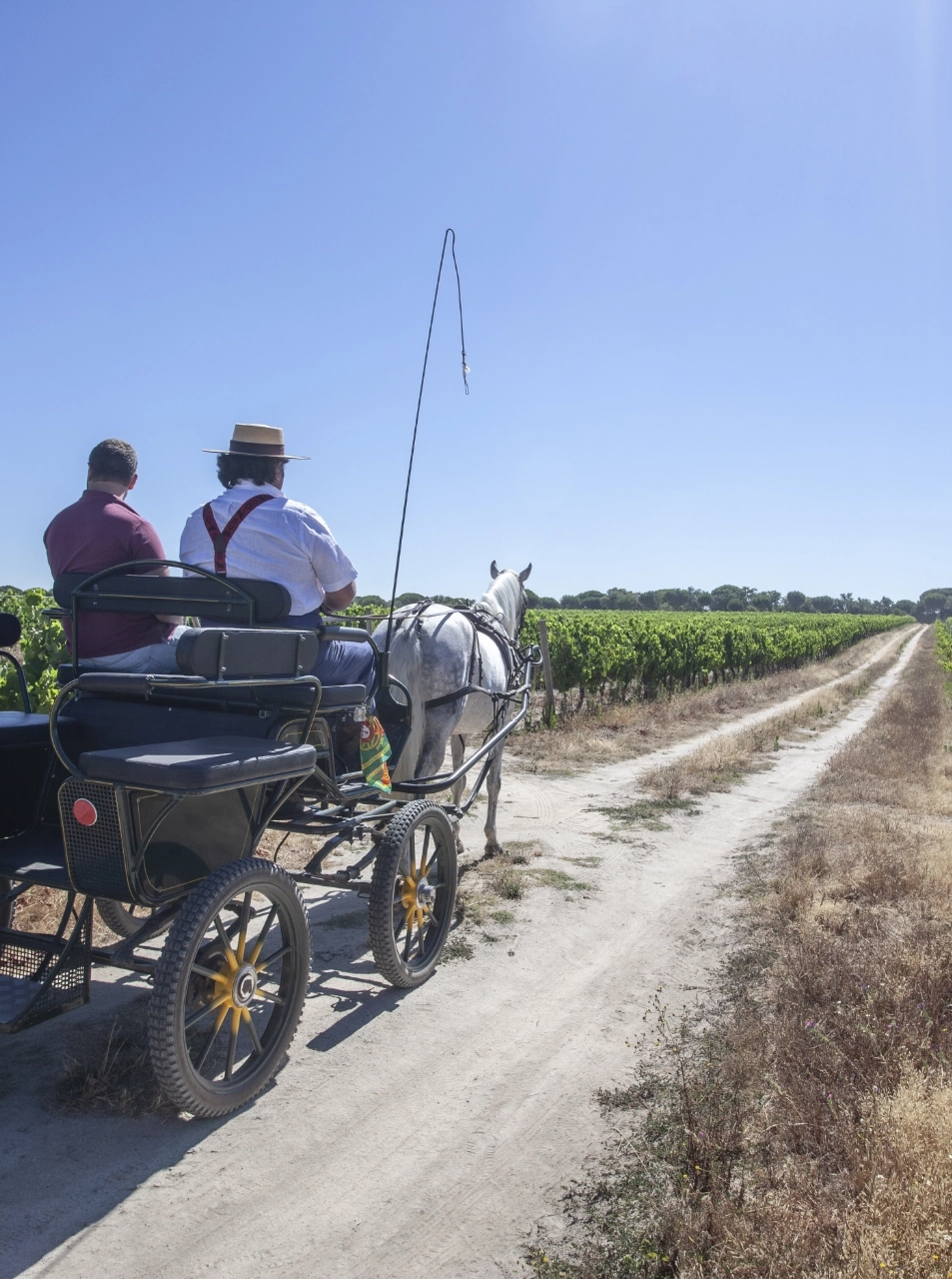Herdade-da-Barrosinha-Hotel-Alentejo Passeio de Charrete